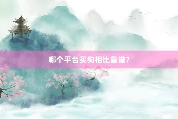 哪个平台买狗相比靠谱？