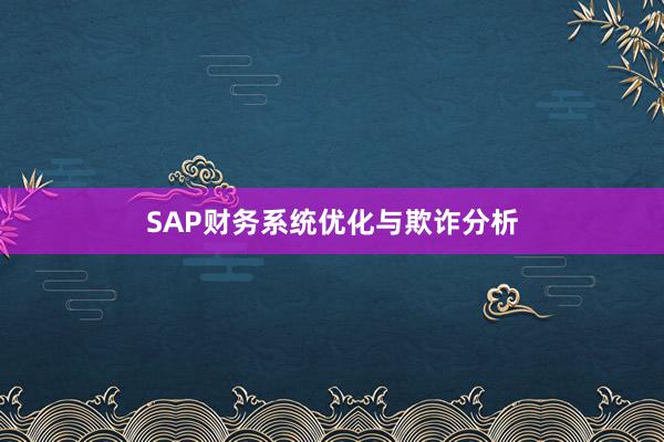 SAP财务系统优化与欺诈分析